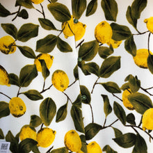 Load image into Gallery viewer, Zara Medium Lemon Dress NWT
